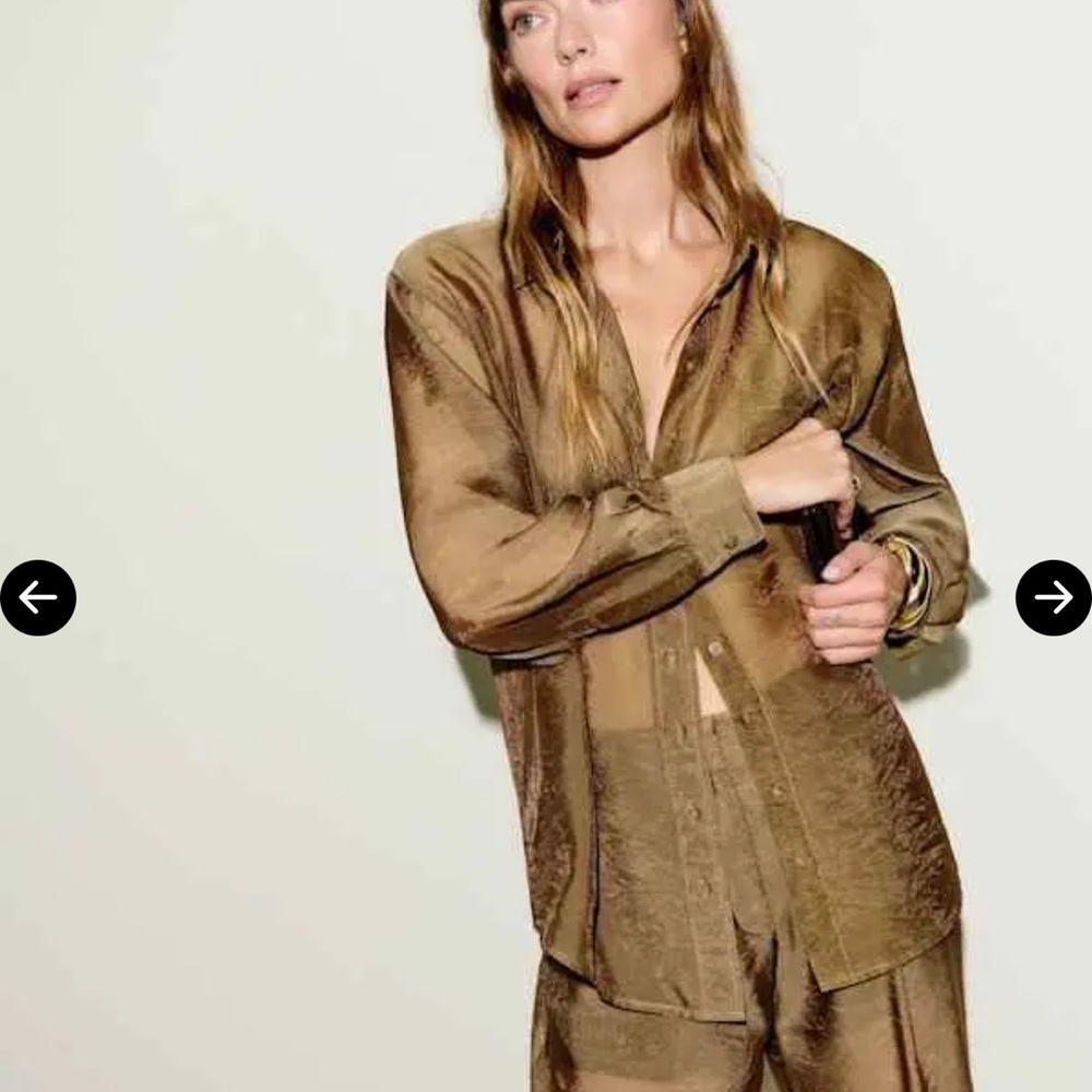 Reformation Eli Oversized Sheer Shirt - Picture 4 of 11